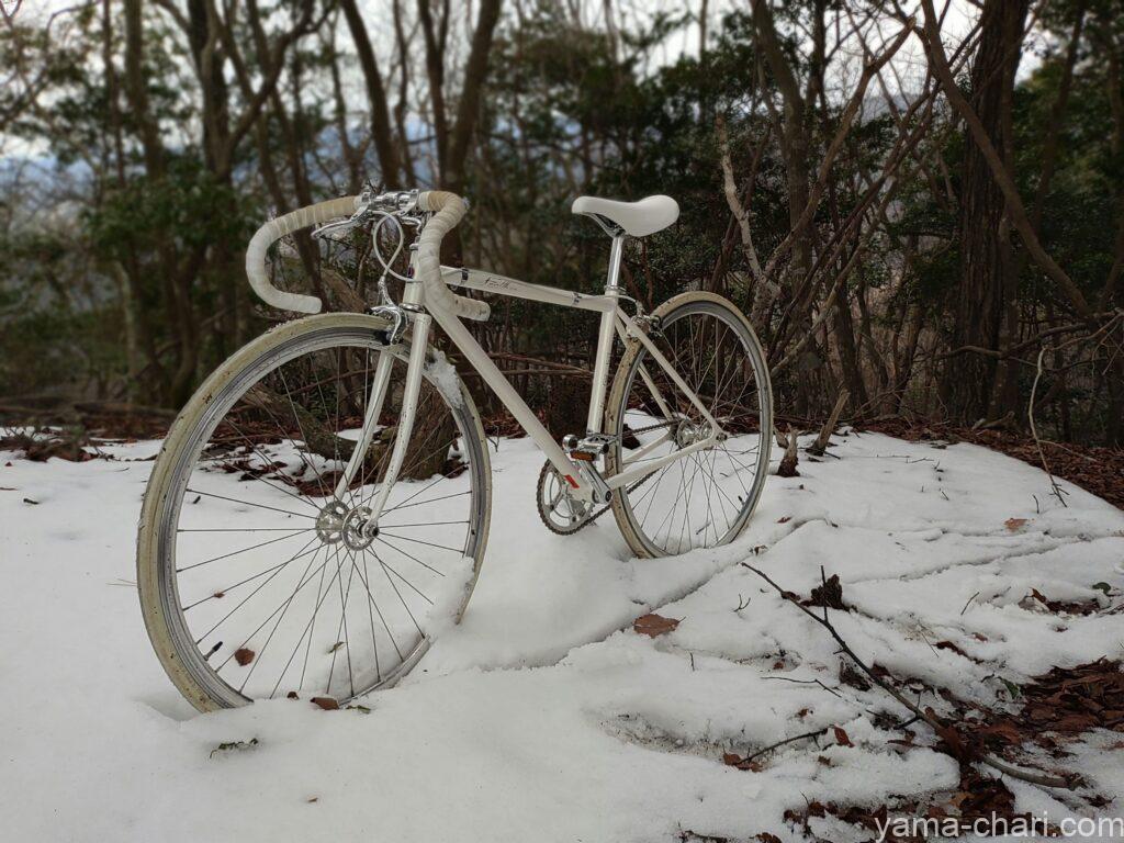 雪の上に立つFUJI FEATHER