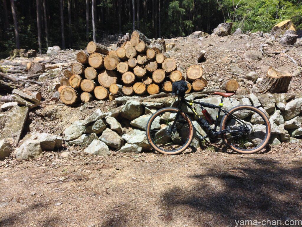 シングルスピードMTBと木材